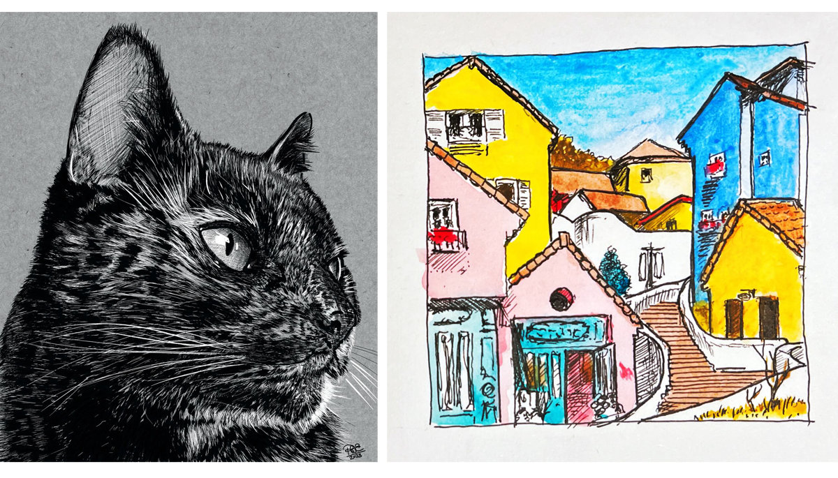 Our family cat and a draw-this-in-your-style challenge