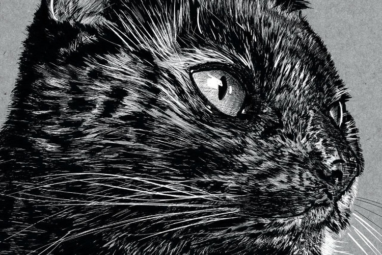 Recent artwork update (November 7th 2023)